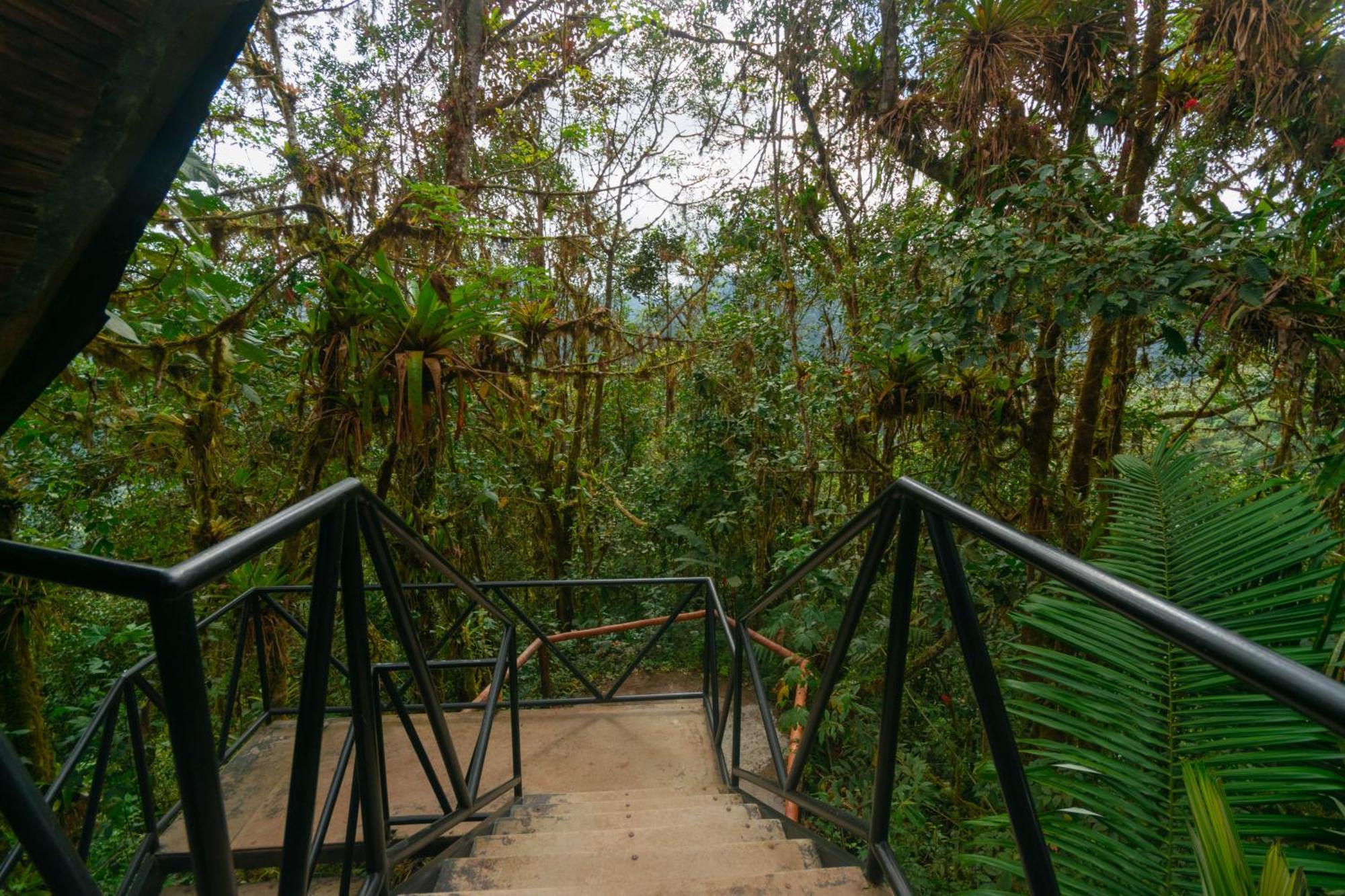 Bellavista Cloud Forest Lodge & Private Protected Area Tandayapa 외부 사진