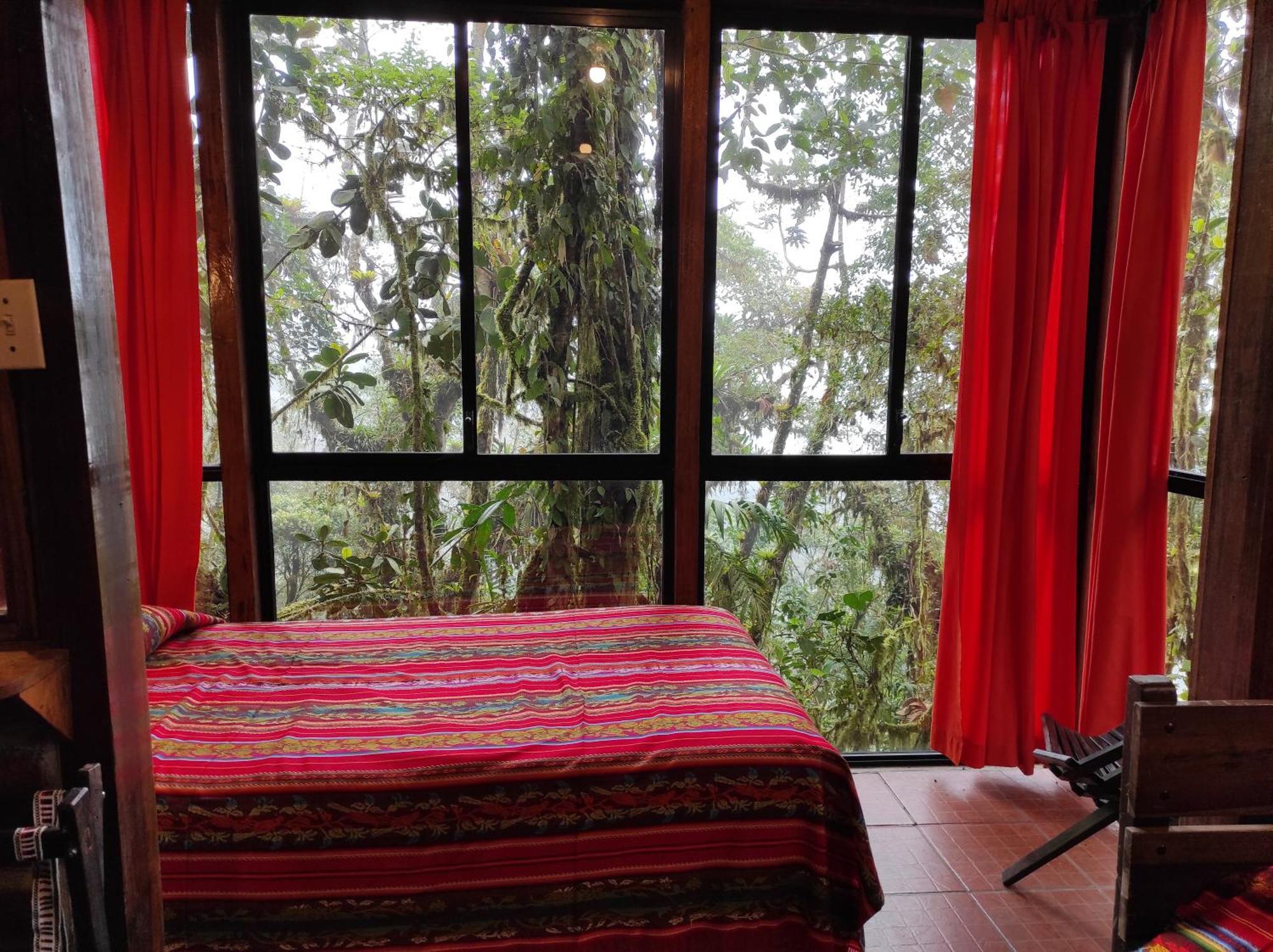 Bellavista Cloud Forest Lodge & Private Protected Area Tandayapa 외부 사진