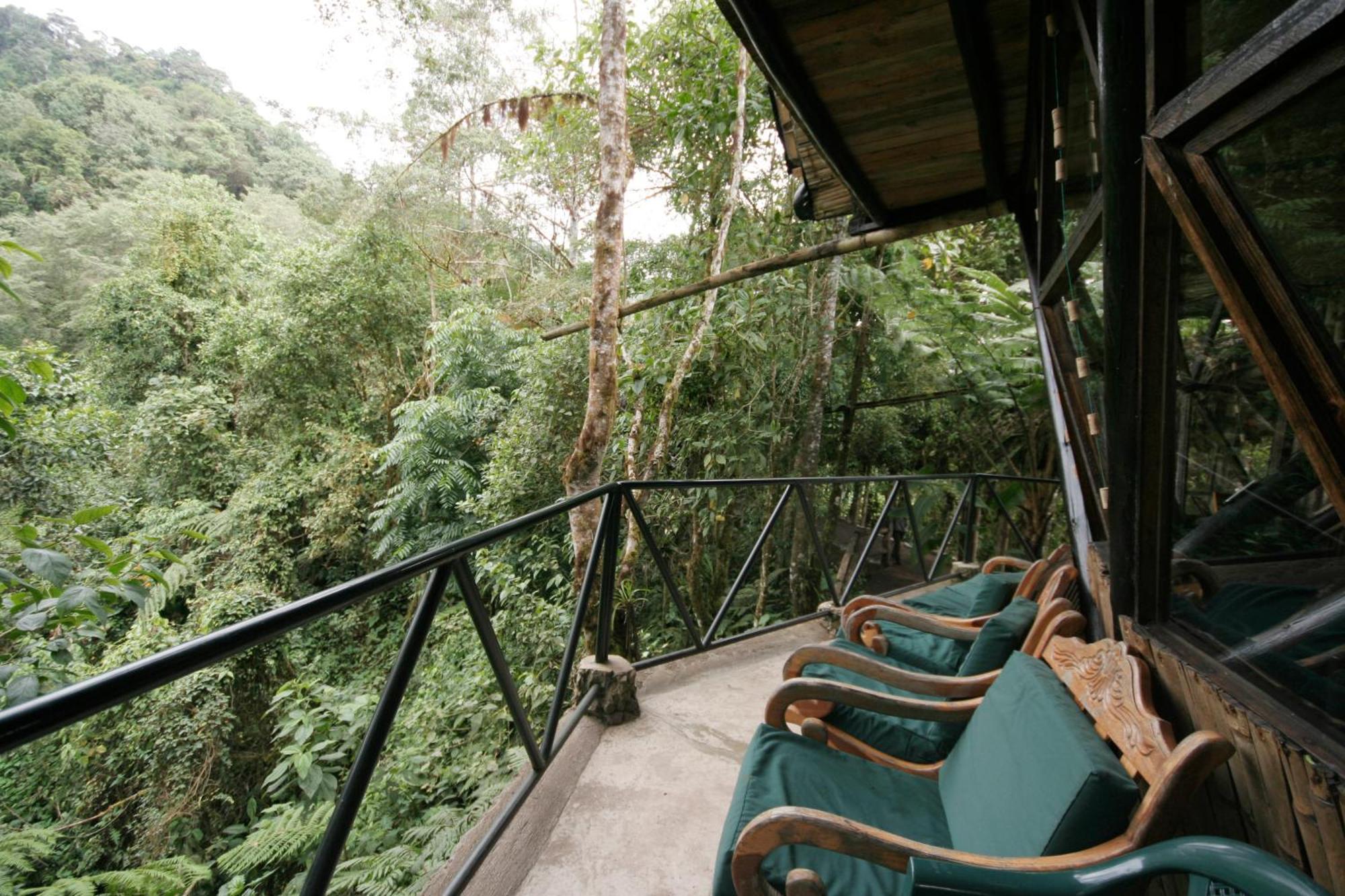 Bellavista Cloud Forest Lodge & Private Protected Area Tandayapa 외부 사진