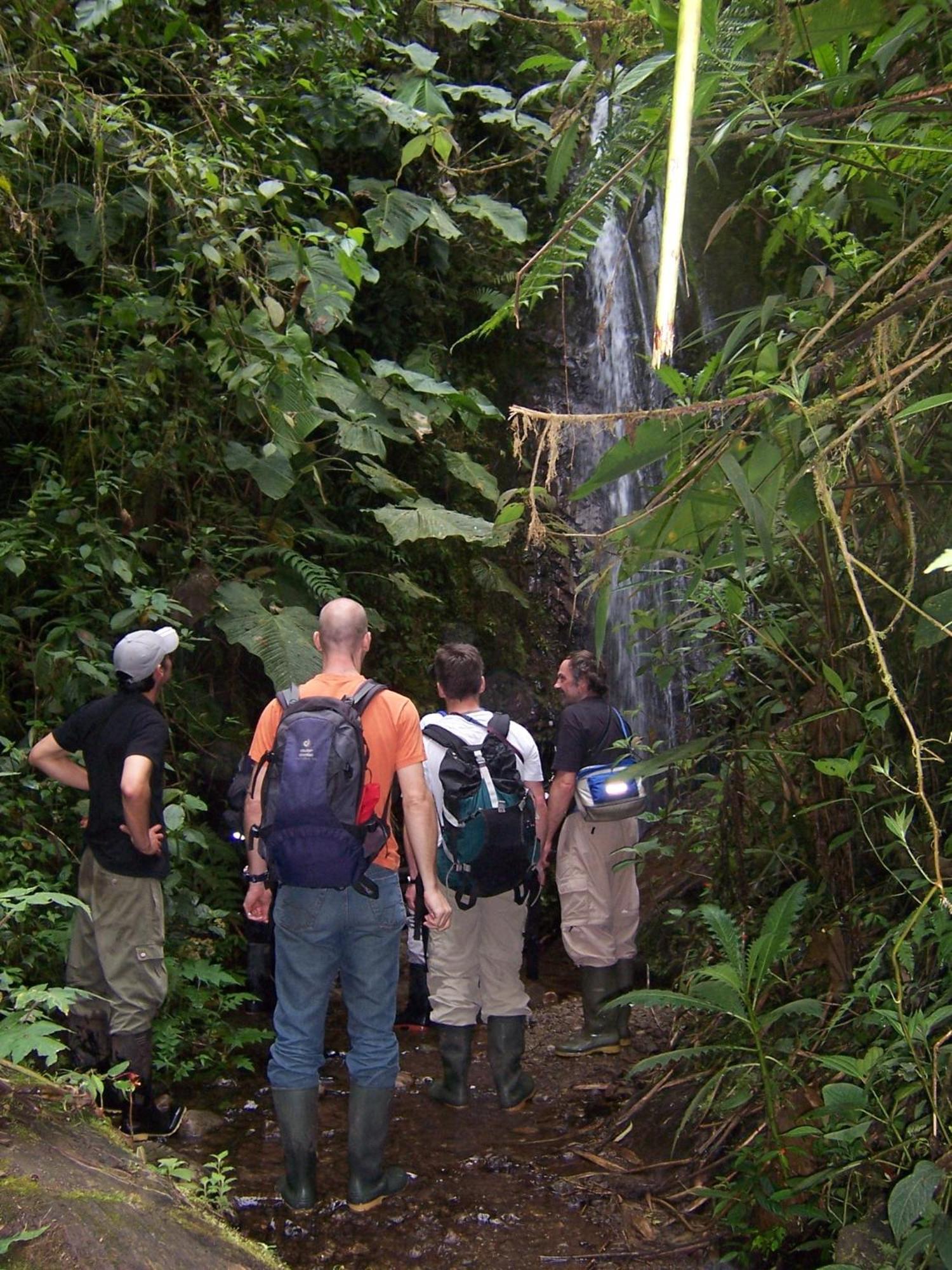 Bellavista Cloud Forest Lodge & Private Protected Area Tandayapa 외부 사진