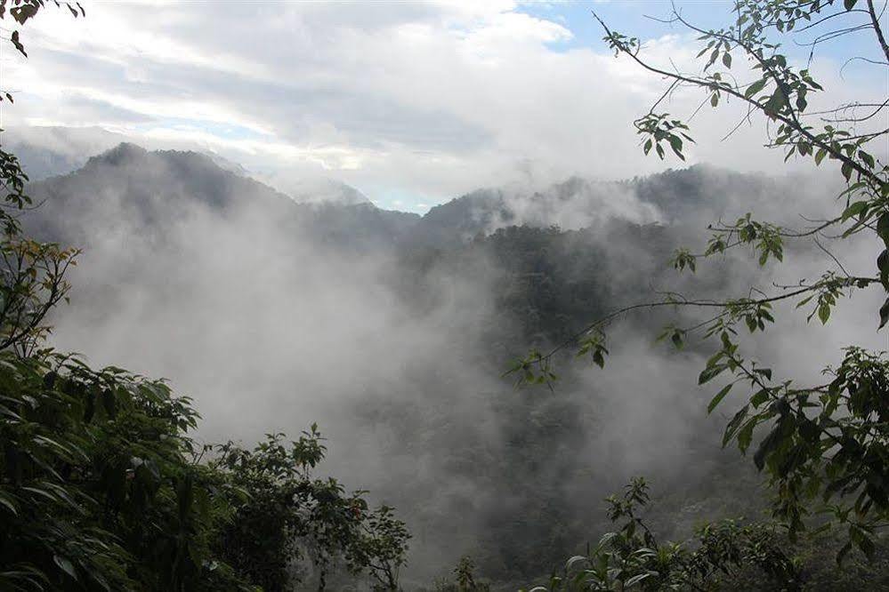 Bellavista Cloud Forest Lodge & Private Protected Area Tandayapa 외부 사진