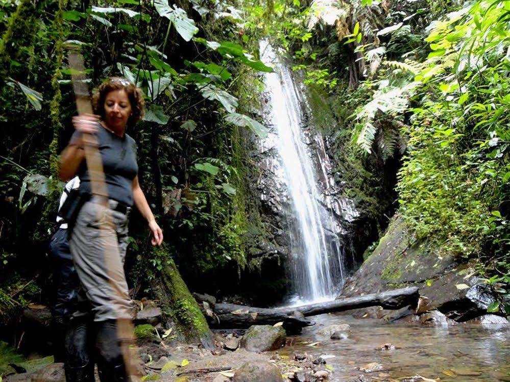 Bellavista Cloud Forest Lodge & Private Protected Area Tandayapa 외부 사진