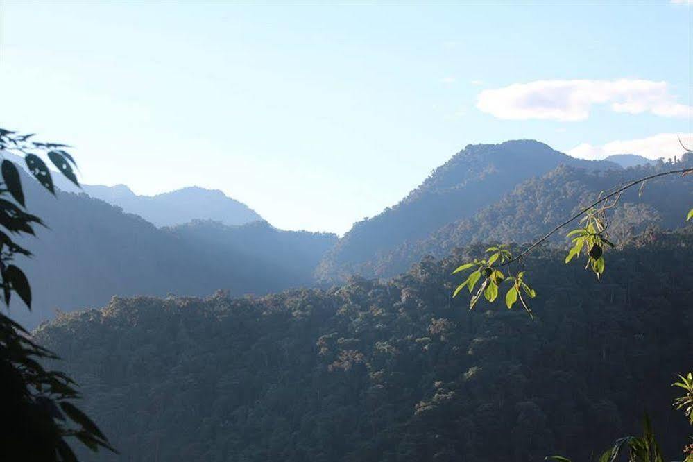 Bellavista Cloud Forest Lodge & Private Protected Area Tandayapa 외부 사진